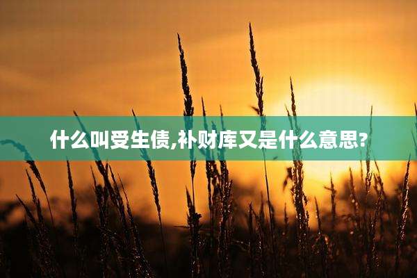 什么叫受生债,补财库又是什么意思?