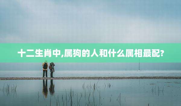 十二生肖中,属狗的人和什么属相最配?