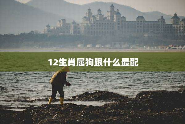 12生肖属狗跟什么最配
