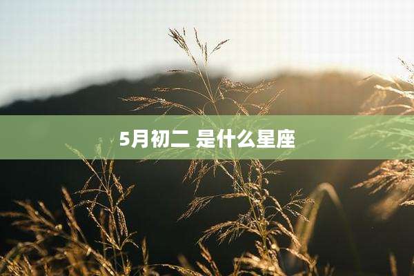 5月初二 是什么星座