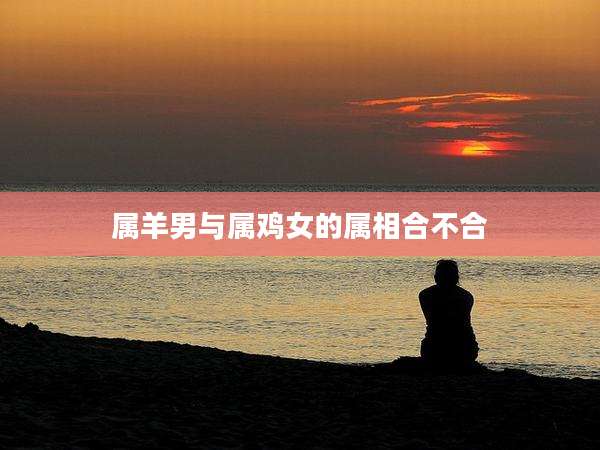 属羊男与属鸡女的属相合不合