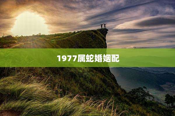 1977属蛇婚姻配