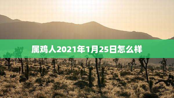 属鸡人2021年1月25日怎么样