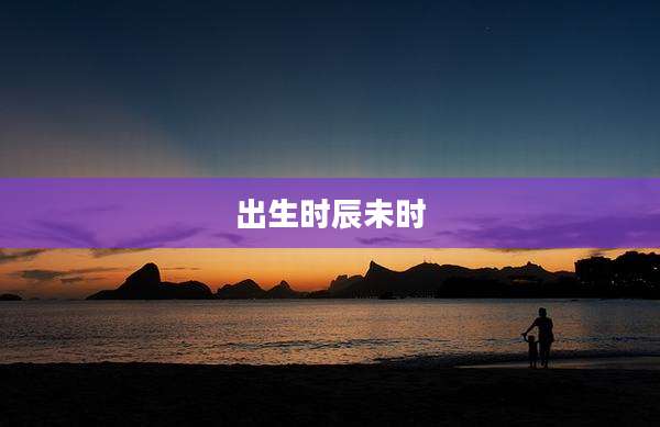 出生时辰未时