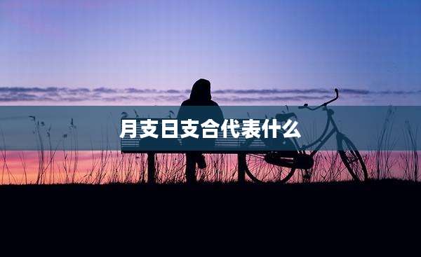 月支日支合代表什么