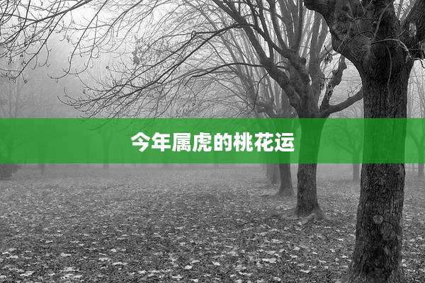 今年属虎的桃花运