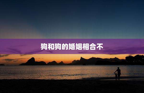 狗和狗的婚姻相合不