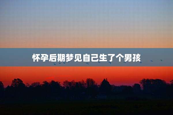 怀孕后期梦见自己生了个男孩