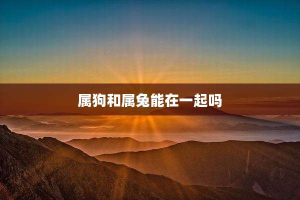 属狗和属兔能在一起吗