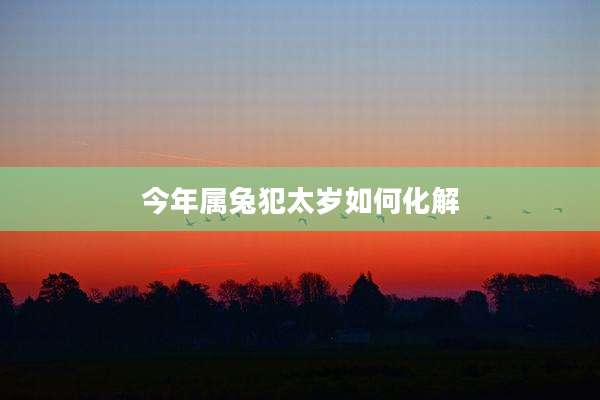 今年属兔犯太岁如何化解