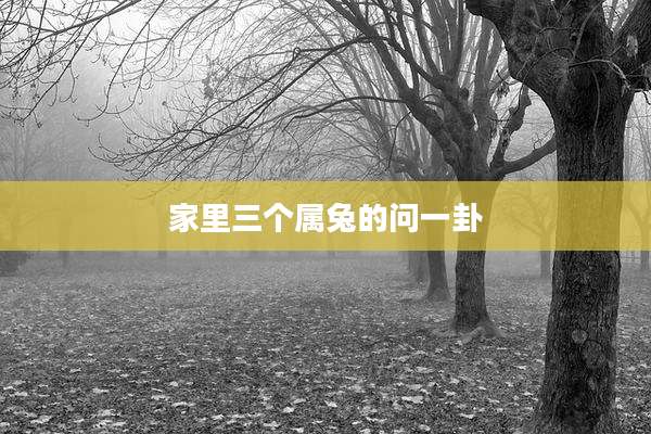 家里三个属兔的问一卦