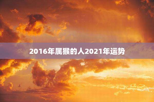 2016年属猴的人2021年运势