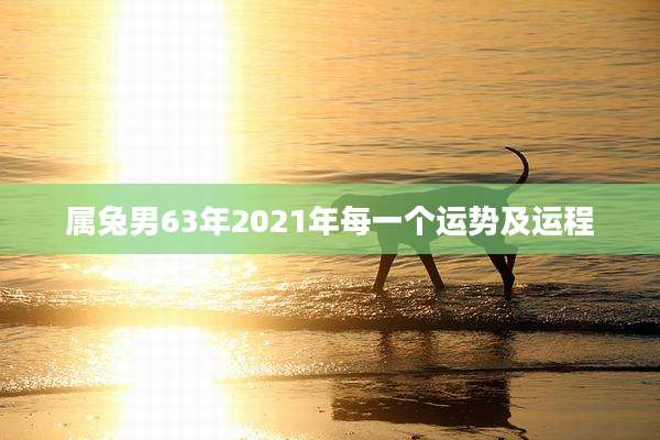 属兔男63年2021年每一个运势及运程