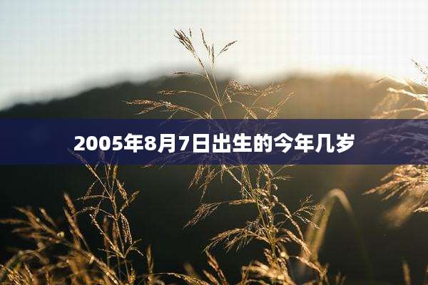 2005年8月7日出生的今年几岁