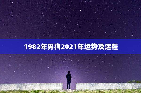 1982年男狗2021年运势及运程