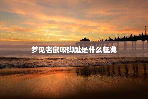 梦见老鼠咬脚趾是什么征兆