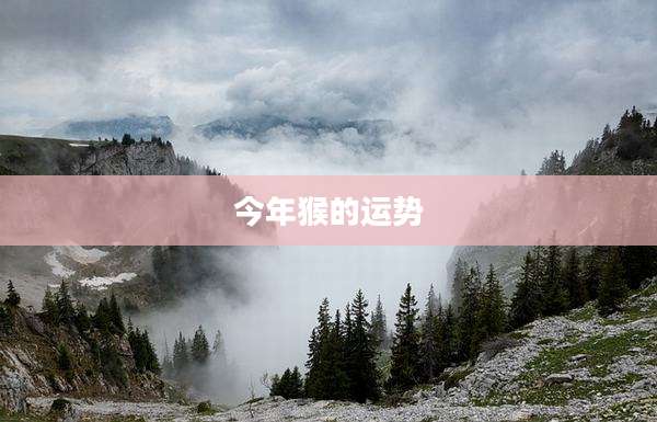 今年猴的运势