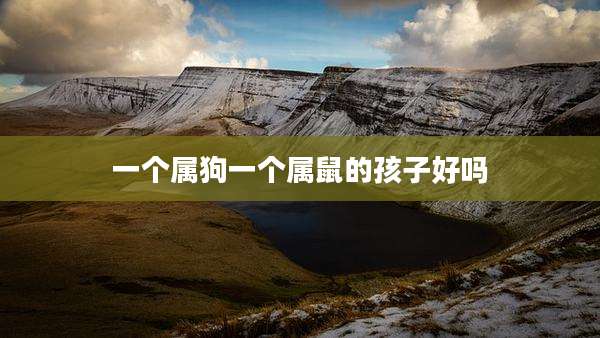 一个属狗一个属鼠的孩子好吗