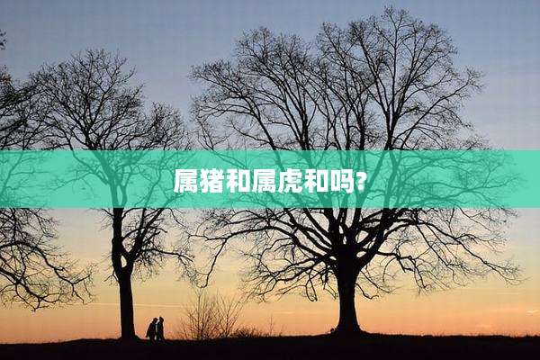 属猪和属虎和吗?