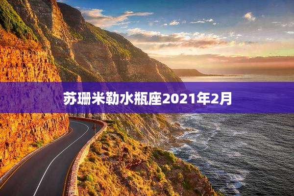 苏珊米勒水瓶座2021年2月