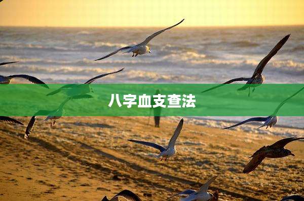 八字血支查法