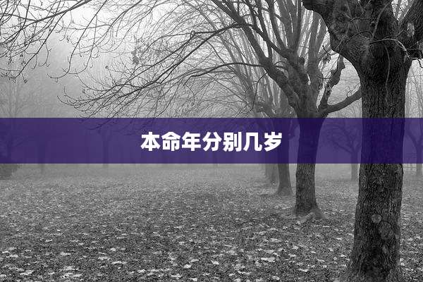 本命年分别几岁