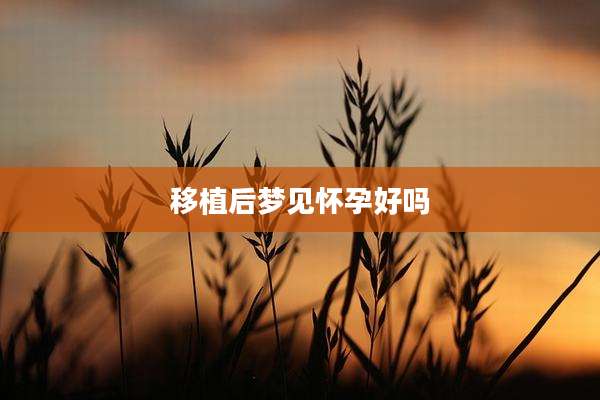 移植后梦见怀孕好吗