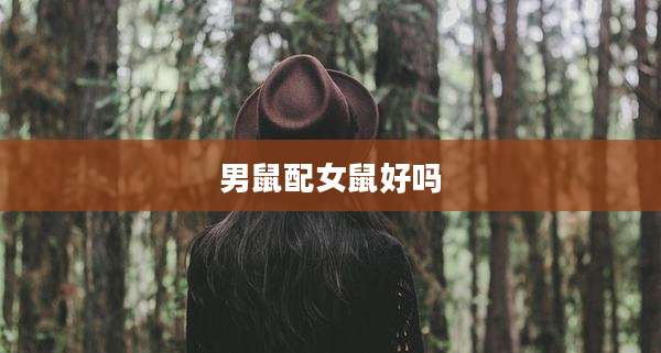 男鼠配女鼠好吗