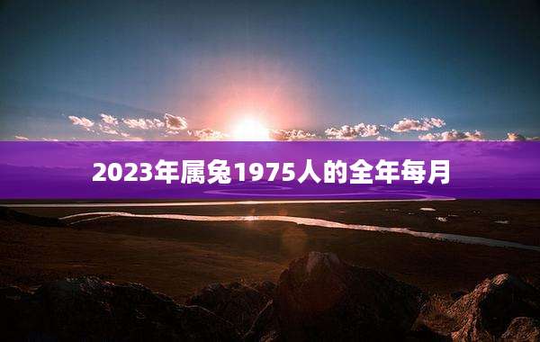 2023年属兔1975人的全年每月