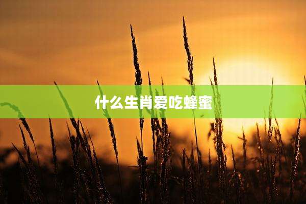什么生肖爱吃蜂蜜