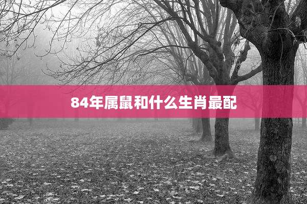 84年属鼠和什么生肖最配