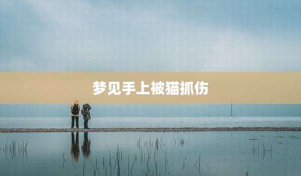 梦见手上被猫抓伤