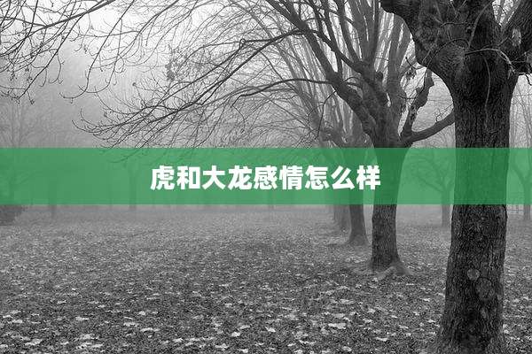 虎和大龙感情怎么样