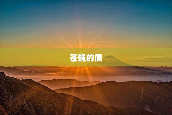苍蝇的属