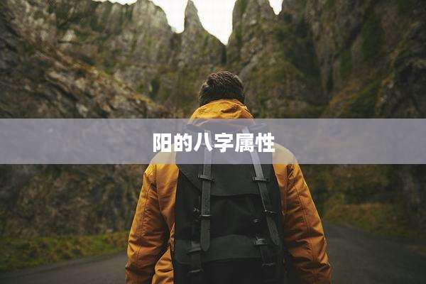 阳的八字属性