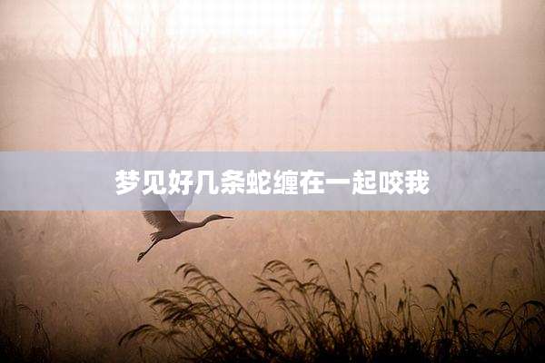 梦见好几条蛇缠在一起咬我