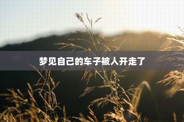 梦见自己的车子被人开走了