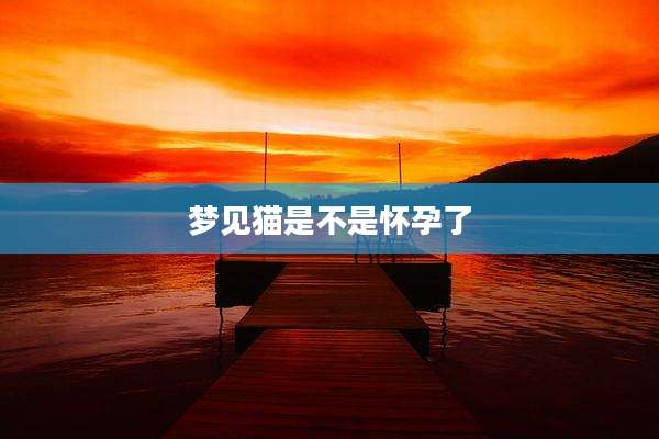梦见猫是不是怀孕了