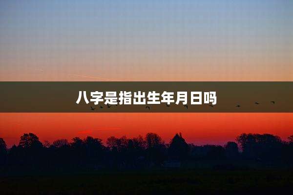 八字是指出生年月日吗