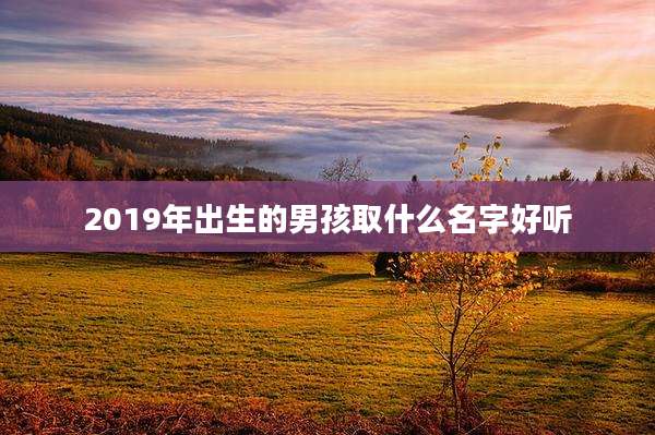 2019年出生的男孩取什么名字好听