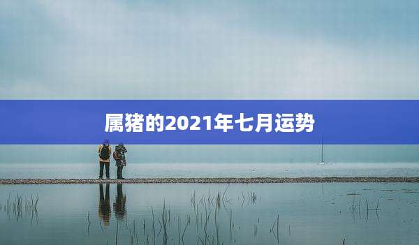 属猪的2021年七月运势