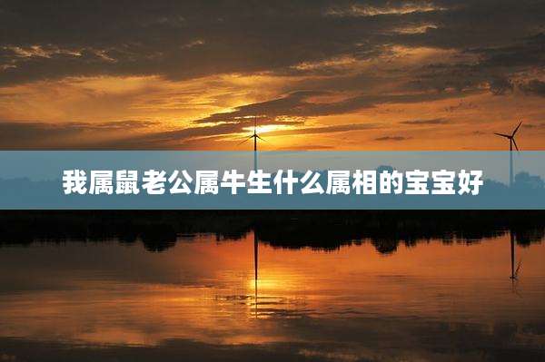 我属鼠老公属牛生什么属相的宝宝好