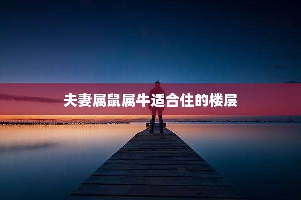 夫妻属鼠属牛适合住的楼层