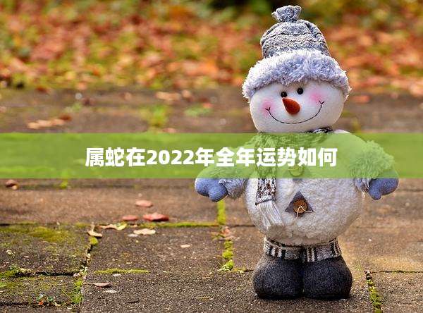属蛇在2022年全年运势如何
