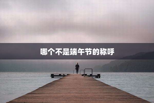 哪个不是端午节的称呼