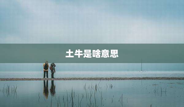 土牛是啥意思
