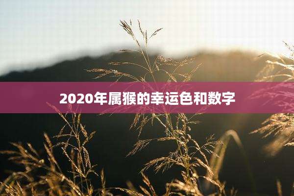 2020年属猴的幸运色和数字