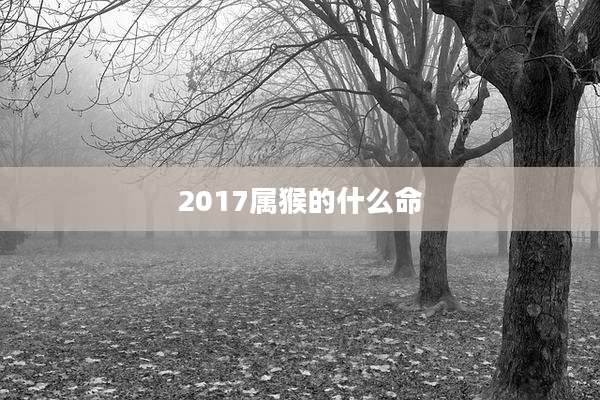 2017属猴的什么命