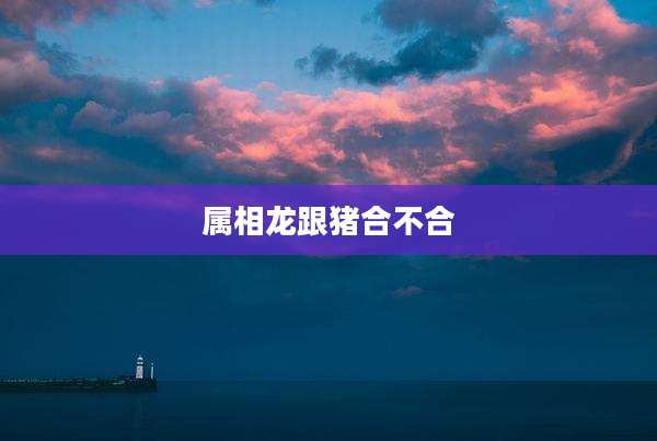 属相龙跟猪合不合