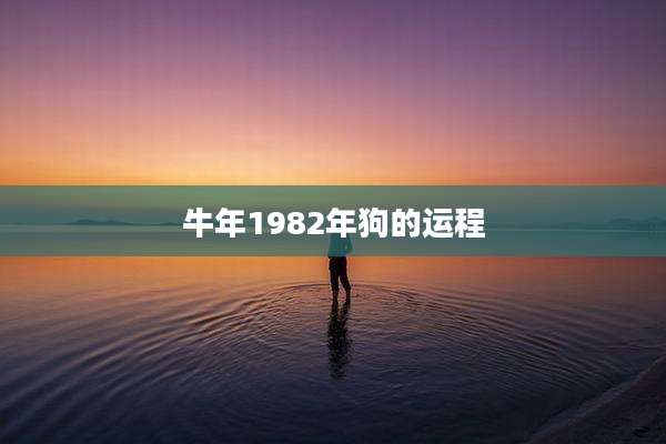 牛年1982年狗的运程